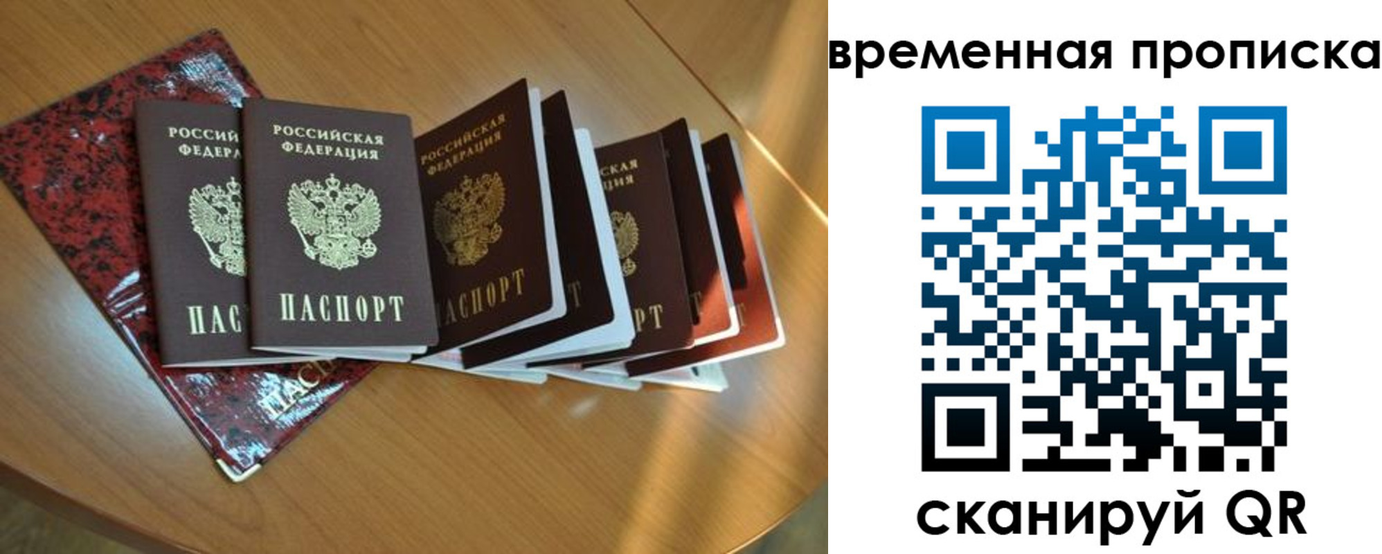 прописка в Калтане